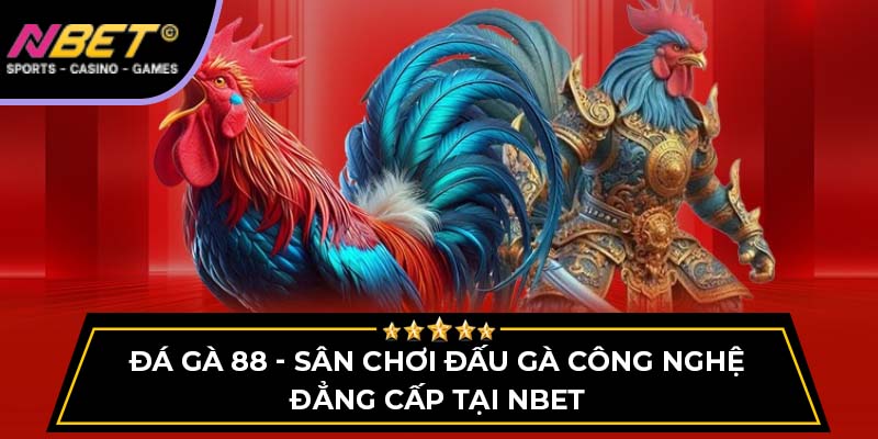 Đá Gà 88 - Sân Chơi Đấu Gà Công Nghệ Đẳng Cấp Tại NBET 1 Đá Gà 88 - Sân Chơi Đấu Gà Công Nghệ Đẳng Cấp Tại NBET