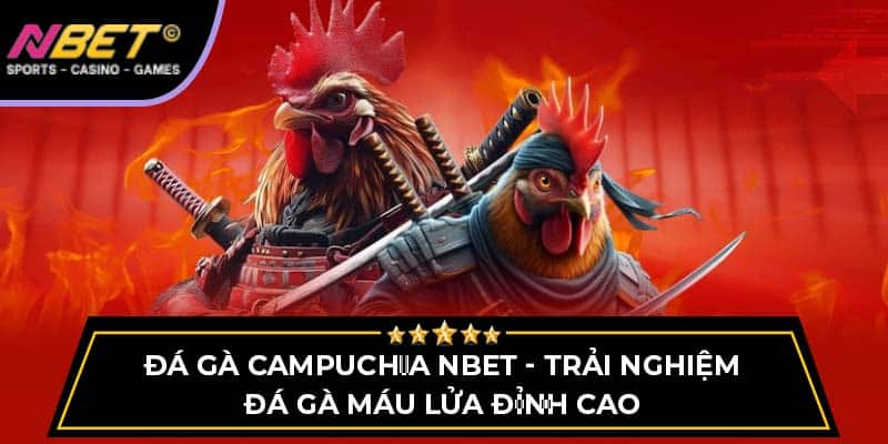 Đá Gà Campuchia NBET - Trải Nghiệm Đá Gà Máu Lửa Đỉnh Cao 3 Đá Gà Campuchia - Trải Nghiệm Đá Gà Máu Lửa Đỉnh Cao