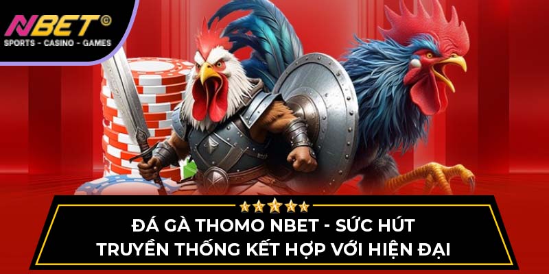 Đá Gà Thomo NBET - Sức Hút Truyền Thống Kết Hợp Với Hiện Đại 1 Đá Gà Thomo - Sức Hút Truyền Thống Kết Hợp Với Hiện Đại